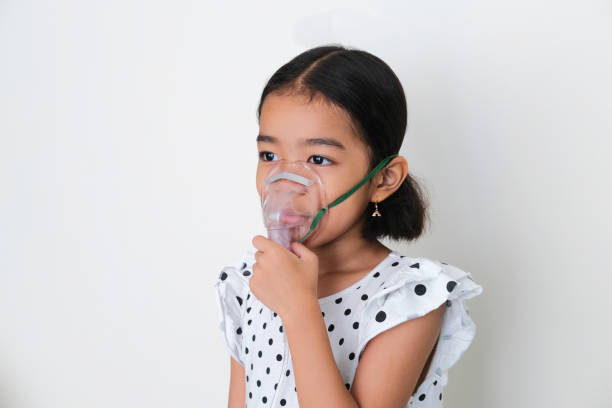 Organ Penting Dalam Sistem Pernapasan